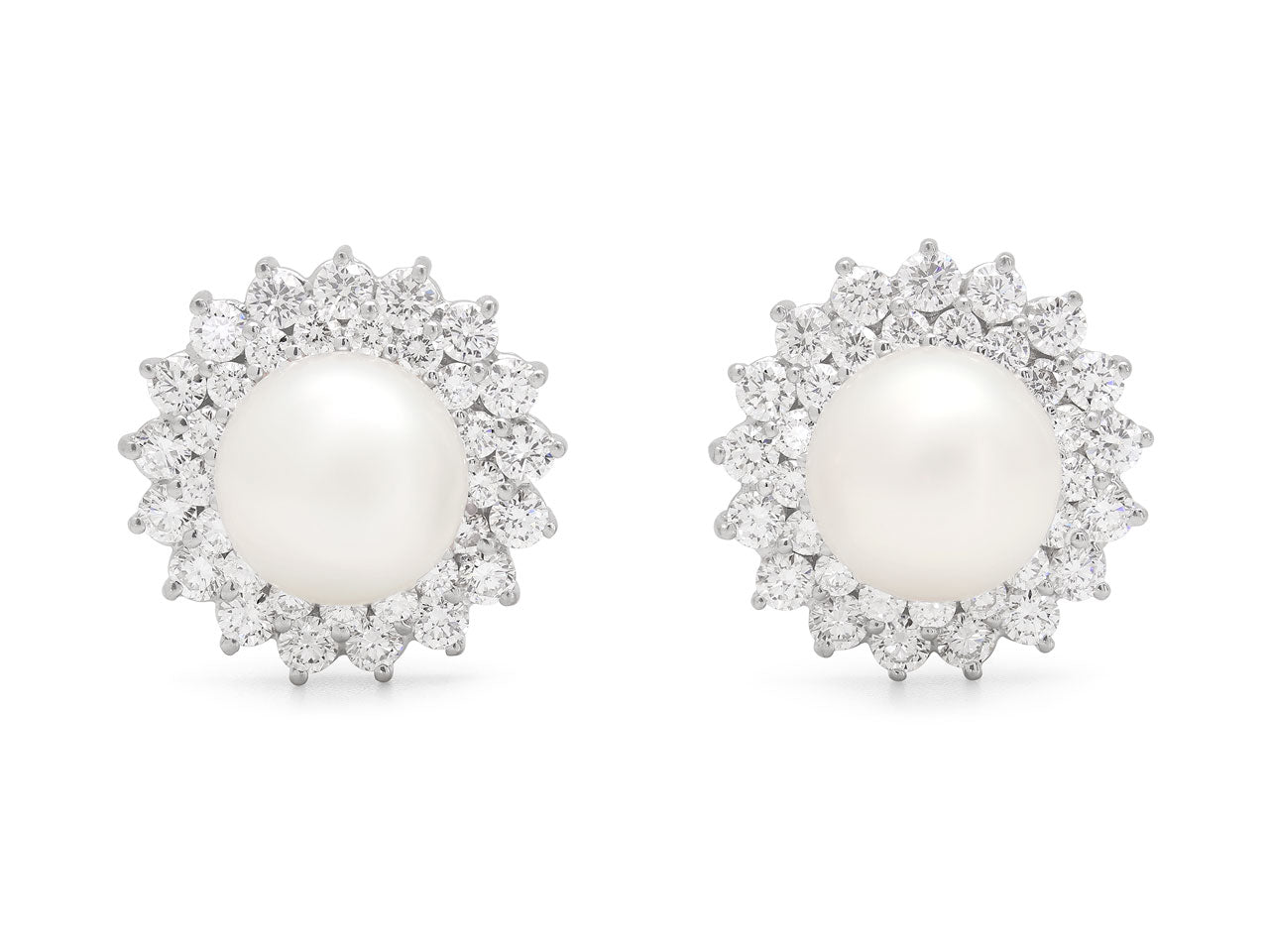 South Sea Pearl and Diamond Earrings in 18K White Gold