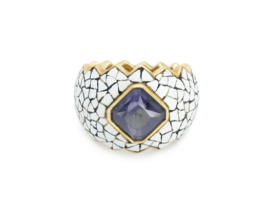 Nicholas Varney 'Croquille D'oeuf' Spinel and Enamel Ring in 18K Gold