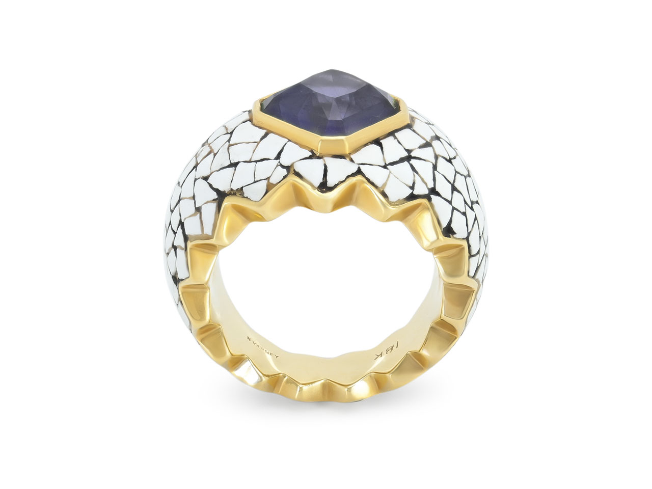 Nicholas Varney 'Croquille D'oeuf' Spinel and Enamel Ring in 18K Gold