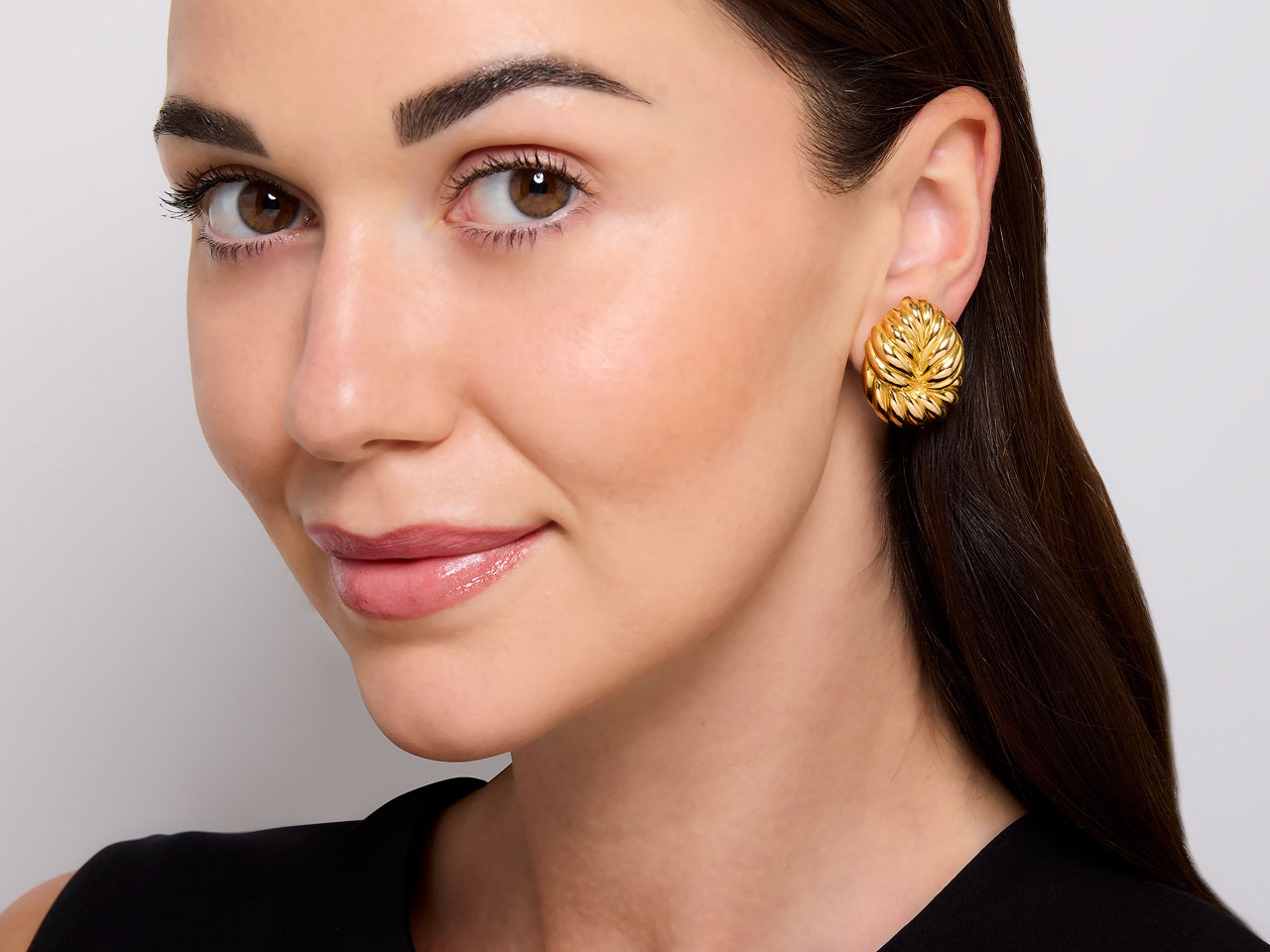 David Webb Earrings in 18K Gold