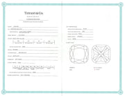Tiffany Soleste® cushion-cut yellow diamond halo engagement ring in  platinum.